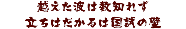 越えた波は数知れず 立ちはだかるは国試の壁